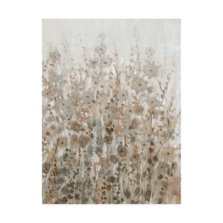 Tim O'Toole 'Early Fall Flowers Ii' Canvas Art,18x24